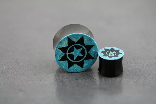 Carved Horn and Crushed Turquoise Plugs