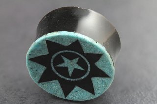 Carved Horn and Crushed Turquoise Plugs