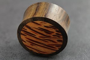 Coco and Sono Wood Plugs