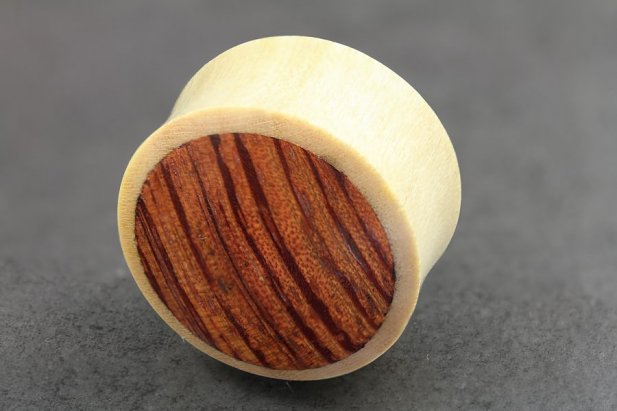 Crocodile Wood and Tigerwood Organic Plugs