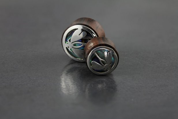 Dragonfly Abalone Plugs