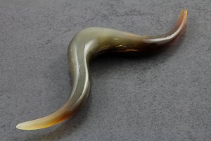 Golden Horn Pointed Septum Mustache
